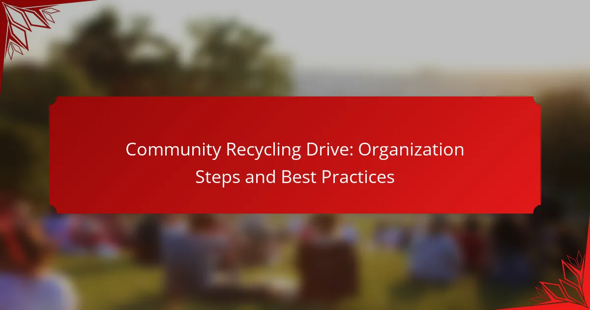 Community Recycling Drive: Organization Steps and Best Practices