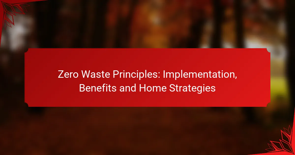 Zero Waste Principles: Implementation, Benefits and Home Strategies