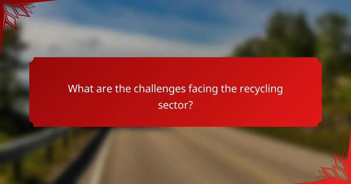 What are the challenges facing the recycling sector?