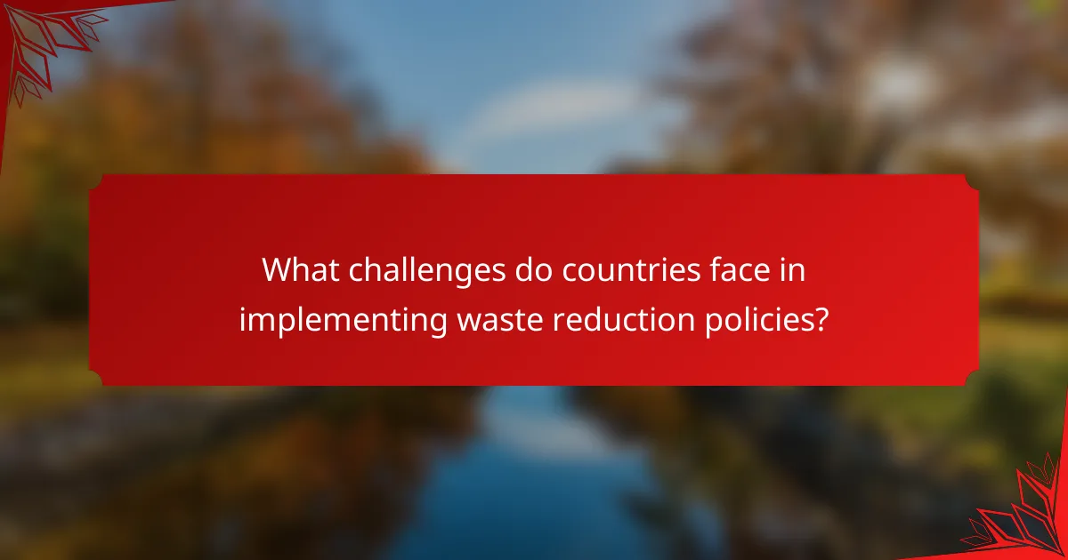 What challenges do countries face in implementing waste reduction policies?